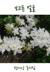 보고픈 얼굴 표지 이미지