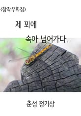 제 꾀에 속아 넘어가다 표지 이미지