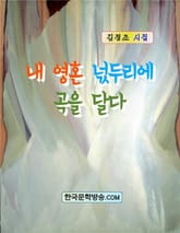 내 영혼 넋두리에 곡을 달다 표지 이미지
