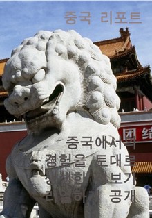 중국 리포트