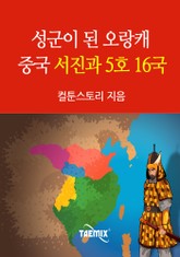 성군이 된 오랑캐 중국 서진과 5호 16국 표지 이미지