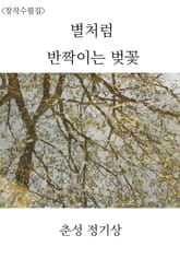 별처럼 반짝이는 벚꽃 표지 이미지