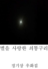 별을 사랑한 쇠똥구리 표지 이미지