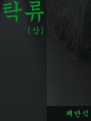 탁류(상)