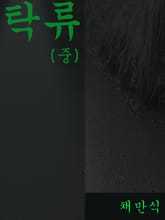 탁류(중) 표지 이미지