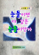 눈물이면 다 같은 눈물이던가 표지 이미지