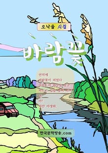 바람꽃