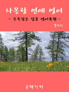 나몰랑 연애 영어