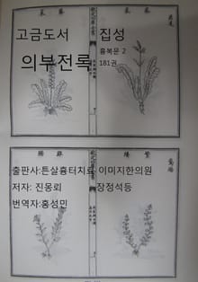 고금도서집성 의부전록 181권 흉복문2