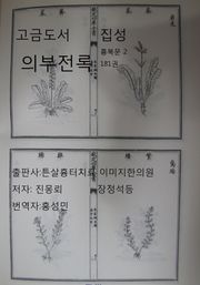 고금도서집성 의부전록 181권 흉복문2