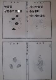 방유집 상한론조변 4