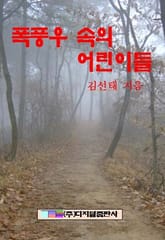 폭풍우 속의 어린이들 표지 이미지