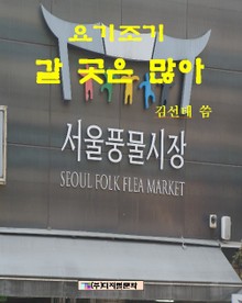 요기조기 갈곳은 많아