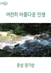 <시집> 여전히 아름다운 인생 표지 이미지
