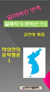 잃어버린 반쪽 월북작가 문학선집 73 차상찬의 믄학평론 1 표지 이미지