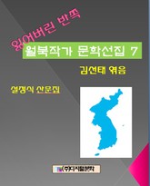 잃어버린 반쪽 월북작가 문학선집 7 설정식 산문집 표지 이미지