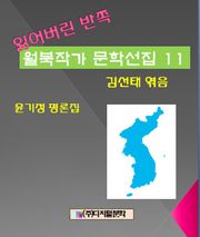 잃어버린 반쪽 월북작가 문학선집 11 윤기정평론집