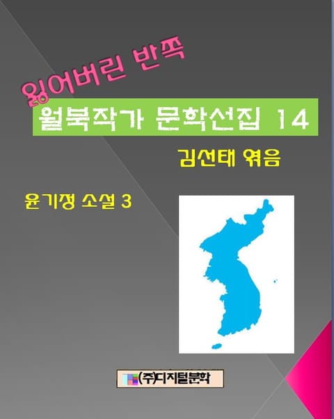 잃어버린 반쪽 월북작가 문학선집 14 윤기정 소설 3 표지 이미지