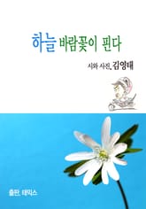 하늘 바람꽃이 핀다 표지 이미지