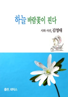 하늘 바람꽃이 핀다