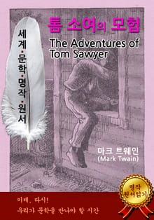 톰 소여의 모험
