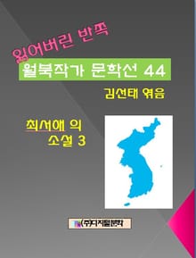 잃어버린 반쪽 월북작가 문학선집 44 최서해의 소설 3