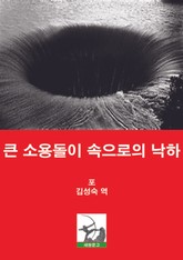 큰 소용돌이 속으로의 낙하 표지 이미지