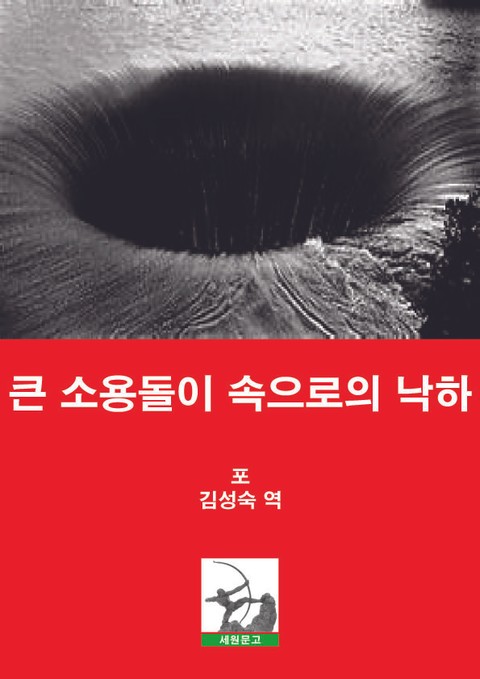 큰 소용돌이 속으로의 낙하 표지 이미지