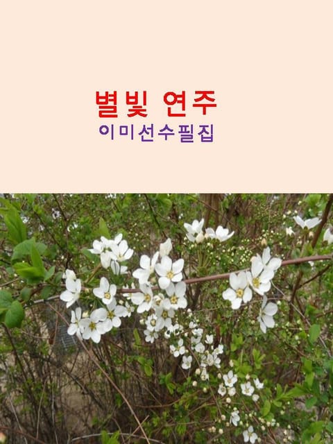 별빛 연주 표지 이미지