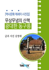 [역사문화 에세이 사진집] 무상무념의 산책, 광대한 동구릉 표지 이미지