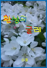 환상의 굴레  표지 이미지