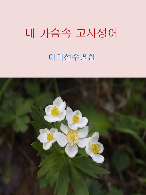 내 가슴속 고사성어 표지 이미지