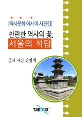 [역사문화 에세이 사진집] 찬란한 역사의 꽃, 서울의 석탑 표지 이미지