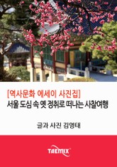 [역사문화 에세이 사진집] 서울 도심 속 옛 정취로 떠나는 사찰여행 표지 이미지