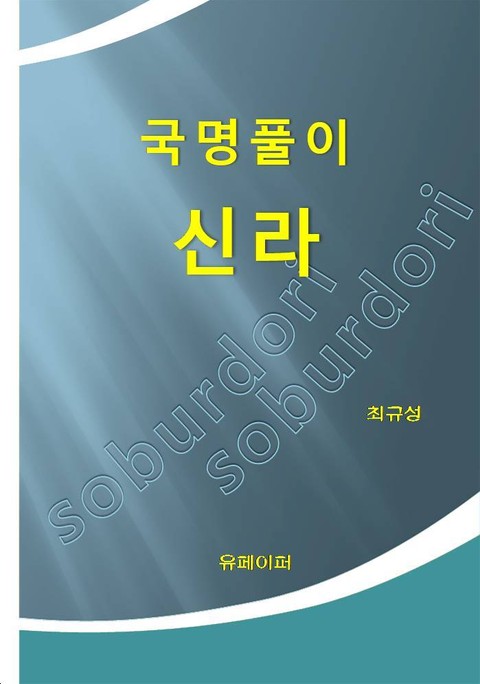 국명풀이 신라 표지 이미지