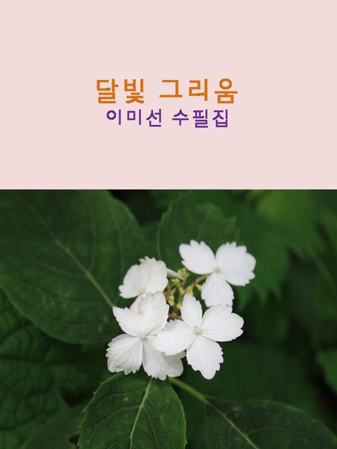 달빛 그리움 표지 이미지