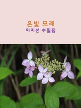 은빛 모래 표지 이미지