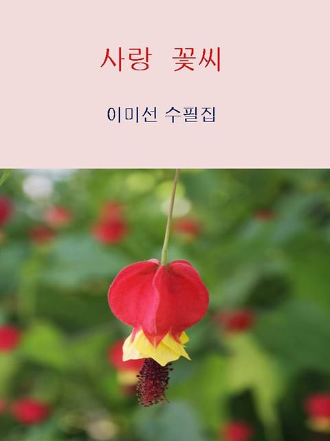 사랑 꽃씨 표지 이미지