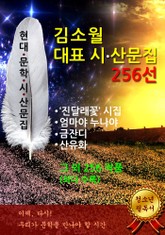 김소월 대표 시.산문집 256선 표지 이미지