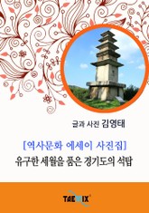 [역사문화 에세이 사진집] 유구한 세월을 품은 경기도의 석탑 표지 이미지