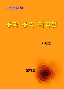 용과 용의 대격전