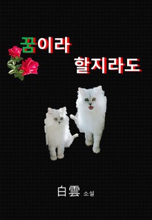 꿈이라 할지라도