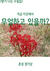 지금 이곳에서 무얼 하고 있을까? 표지 이미지