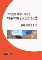 [역사문화 에세이 사진집] 역사를 지켜낸 보루, 충청의 산성 표지 이미지