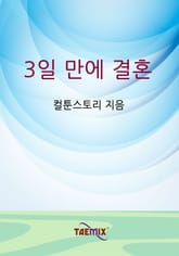 3일 만에 결혼 표지 이미지