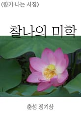 찰나의 미학 표지 이미지