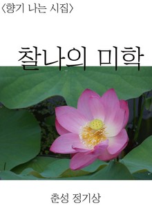 찰나의 미학