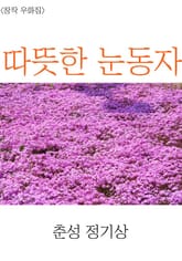 따뜻한 눈동자 표지 이미지