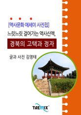 [역사문화 에세이 사진집] 느릿느릿 걸어가는 역사산책, 경북의 고택과 정자 표지 이미지