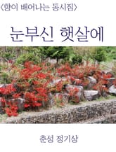 눈부신 햇살에 표지 이미지